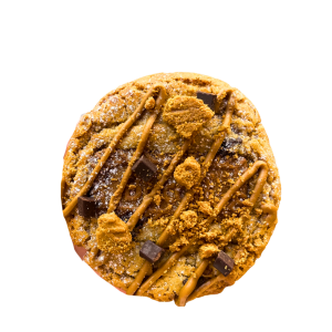 Cookie Spéculoos